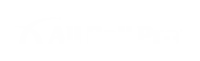 All Ball Pro