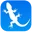 Clear Lizard