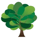 Forest Super Foods