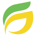 Gaslampinsurance