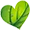 Herbamour