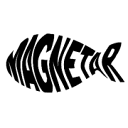 Magnetar Magnets