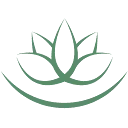 Mindfulness Exercises