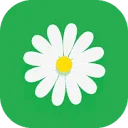 MyFlowers