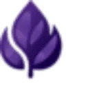 PURPLE LEAF