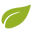 RattanTree