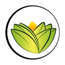 The Ayurveda Experience DE
