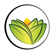 The Ayurveda Experience UK