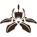 The Blessed Seed