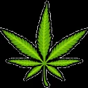 The Hemp House