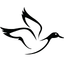 White Duck Outdoors